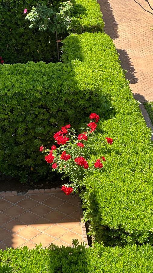 Apartmán La Rosaleda 17 Denia Exteriér fotografie