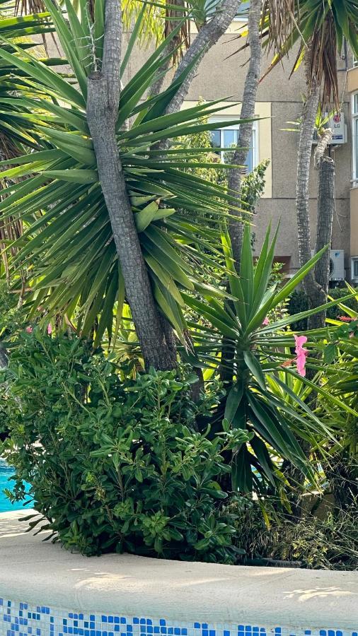 Apartmán La Rosaleda 17 Denia Exteriér fotografie