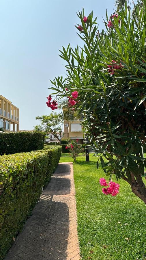Apartmán La Rosaleda 17 Denia Exteriér fotografie